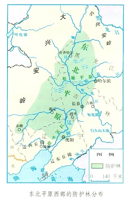 东北的土壤类型陇南8公分法桐价格咨询12