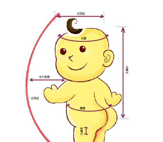 双顶径-360百科