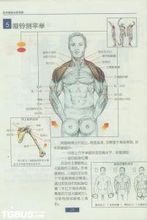 哑铃侧平举_360百科