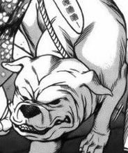 寻因异闻录·椿