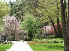 西北密歇根学院