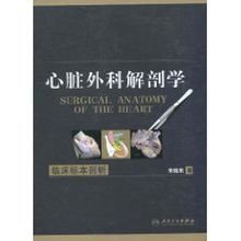 心脏外科解剖学
