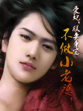 爱妃,朕要争宠:不做小老婆!