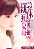 豪门掠爱:总裁,休想复婚