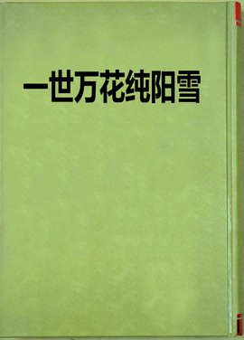 一世万花纯阳雪