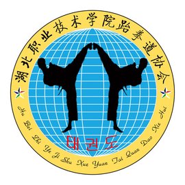 湖北职业技术学院跆拳道协会