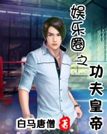 娱乐圈之功夫皇帝