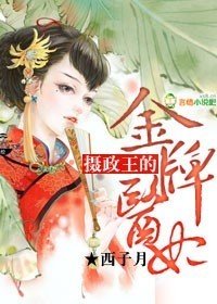 摄政王的金牌医妃