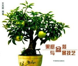 果树盆栽与盆景技艺