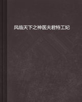 风临天下之神医夫君特工妃