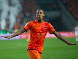 纳尔辛格_360百科