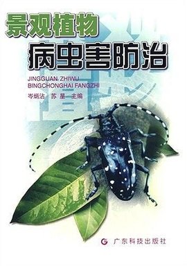 花卉种植技术:一场美丽与自然的对话