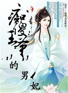 痴傻王爷的男妃