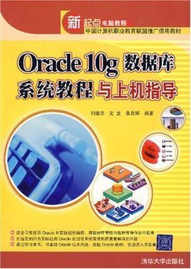 Oracle10g数据库系统教程与上机指导