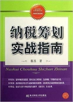 纳税筹划实战指南