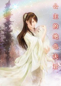 穿越:公主的绝色夫君