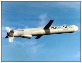 BGM109战斧巡航导弹11