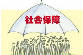 社会保险费申报缴纳管理规定