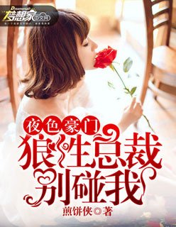 夜色豪门:狼性总裁别碰我
