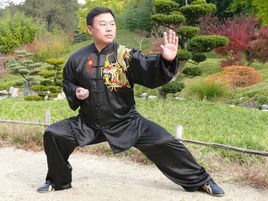 陈氏太极拳老架一路