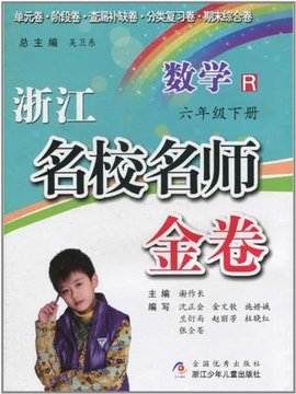 浙江名校名师金卷·数学·六年级下册