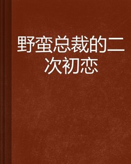 野蛮总裁的二次初恋