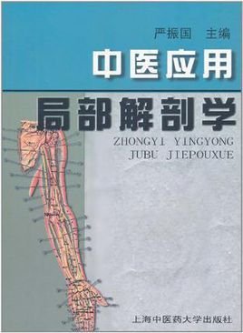 中医应用局部解剖学