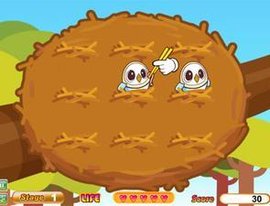 给麻雀宝宝喂食