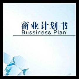 商业项目计划书撰写指南