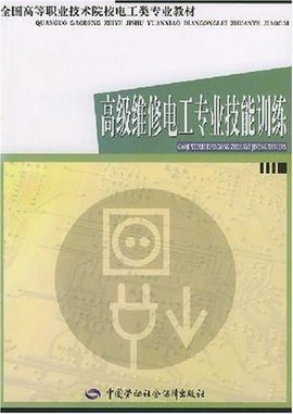 高级维修电工专业技能训练