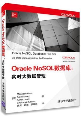 Oracle NoSQL数据库:实时大数据管理