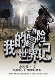 我的世界生存冒险记