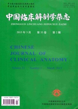 中国临床解剖学杂志