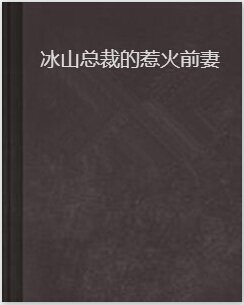 冰山总裁的惹火前妻