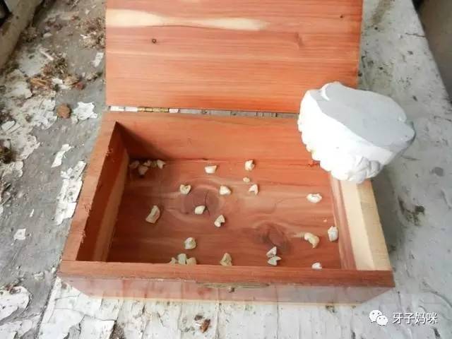 这两种药一起用会死+小孩掉落的乳牙别丢:可救自己一命 - 满园春色 - 满园春色 医生呼吁小孩掉落的乳牙别再丢掉,必要时可救自己一命! - 武汉老徐 - 武汉老徐的博客