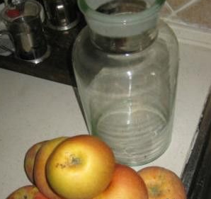 酵素的做法_360问答