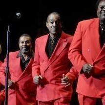 the coasters