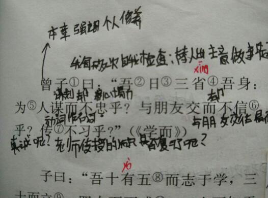 论语十二章写第一章或第二章内心体会100字_