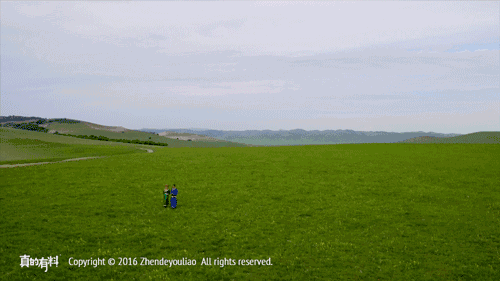 壁纸 草原 桌面 500_281 gif 动态图 动图