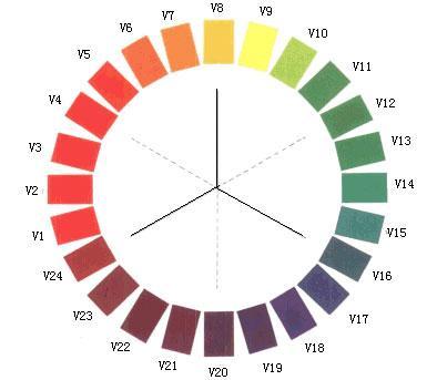 暖色调图片