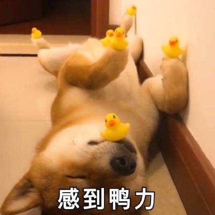 虎牙人气主播集结！2019QQ手游巡回赛首战来袭不容错过