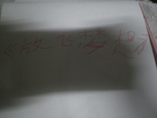 放飞梦想作文350字_360问答