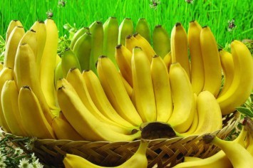 多吃香蕉的好处和坏处是什么_360问答
