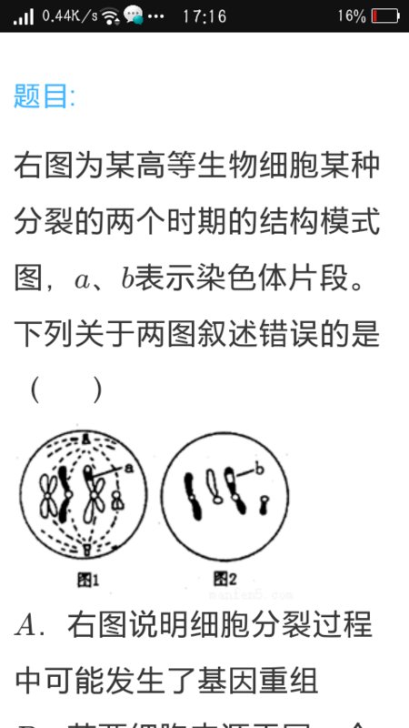 C选项,为什么不可以是互相交叉交换的两条非姐