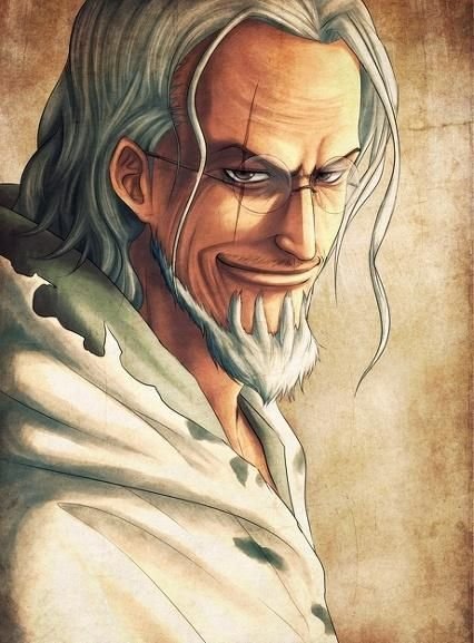 "冥王"西尔巴兹·雷利是漫画《海贼王》中的角色,别号"海贼王的右腕"