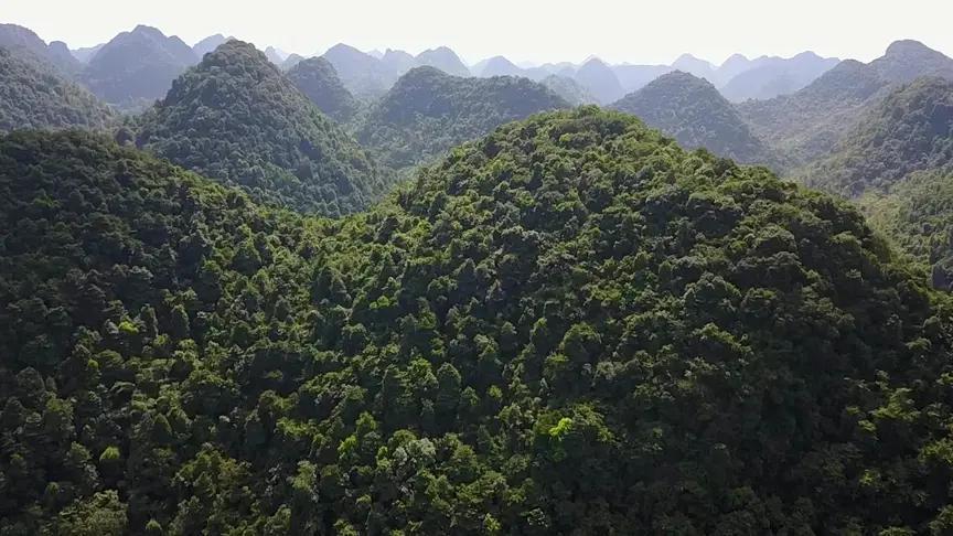 航拍|美丽的家乡广西十万大山,它们就像十万狼兵守卫我们的家园