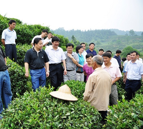 顾家龙,广西北流市人,上世纪六十年代初,在北流市六靖镇一个贫苦家庭